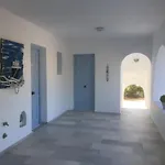 Bluefox 4*