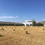 Aparthotel Bluefox Kastraki (Naxos)
