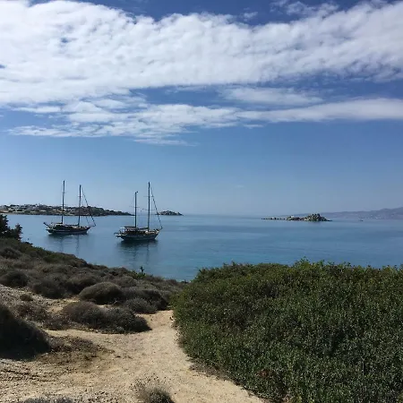 Bluefox * Kastraki (Naxos)