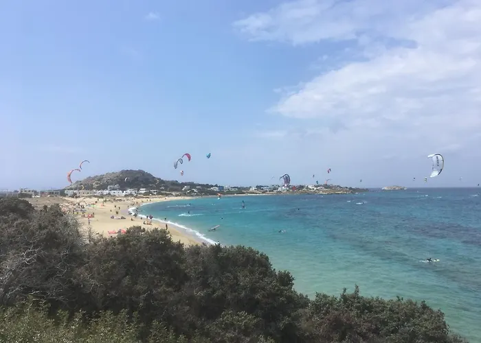 Ξενοδοχείο με διαμερίσματα Bluefox Kastrákion